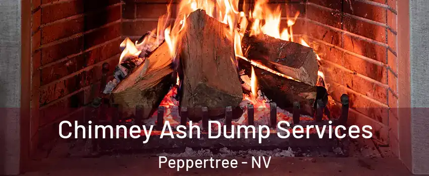 Chimney Ash Dump Services Peppertree - NV