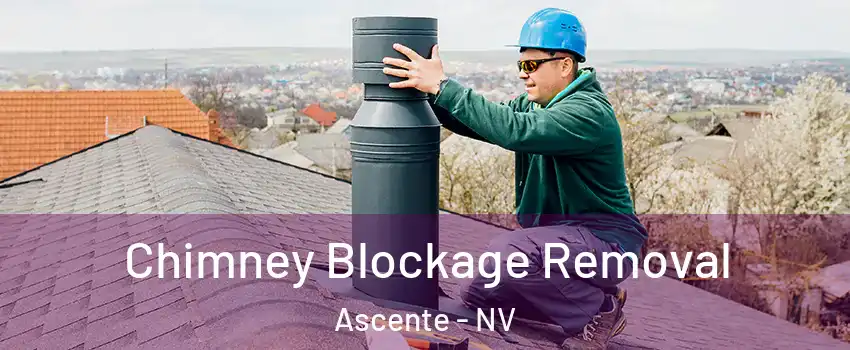 Chimney Blockage Removal Ascente - NV