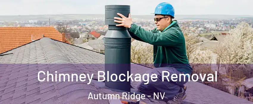 Chimney Blockage Removal Autumn Ridge - NV