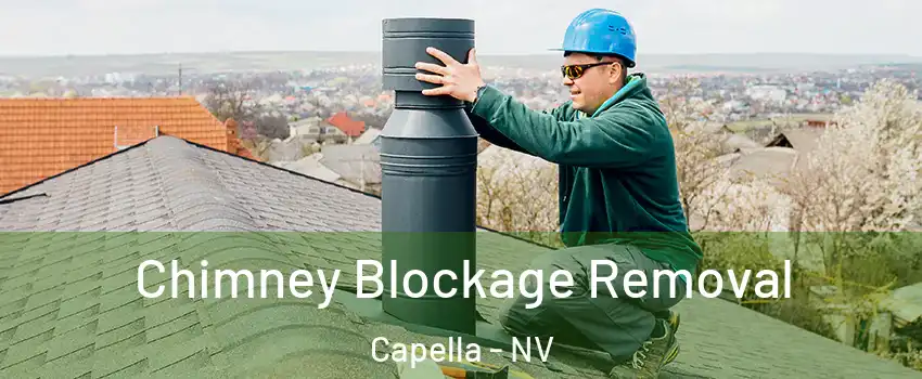 Chimney Blockage Removal Capella - NV