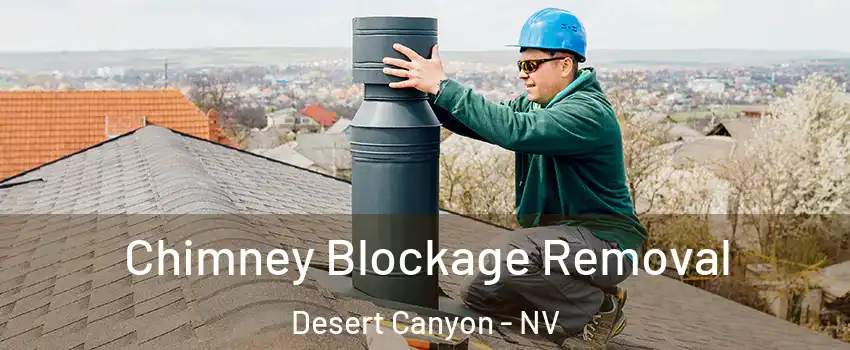 Chimney Blockage Removal Desert Canyon - NV