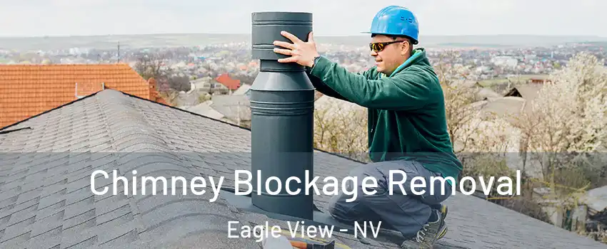 Chimney Blockage Removal Eagle View - NV