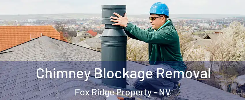 Chimney Blockage Removal Fox Ridge Property - NV