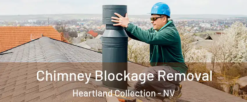 Chimney Blockage Removal Heartland Collection - NV