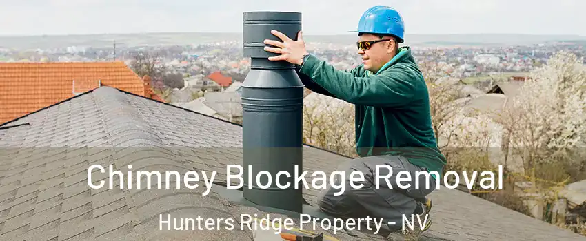 Chimney Blockage Removal Hunters Ridge Property - NV