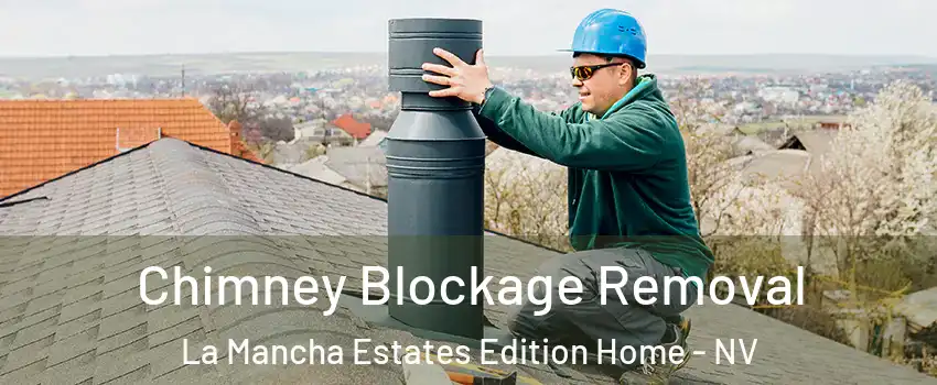 Chimney Blockage Removal La Mancha Estates Edition Home - NV