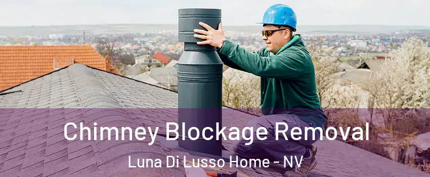 Chimney Blockage Removal Luna Di Lusso Home - NV