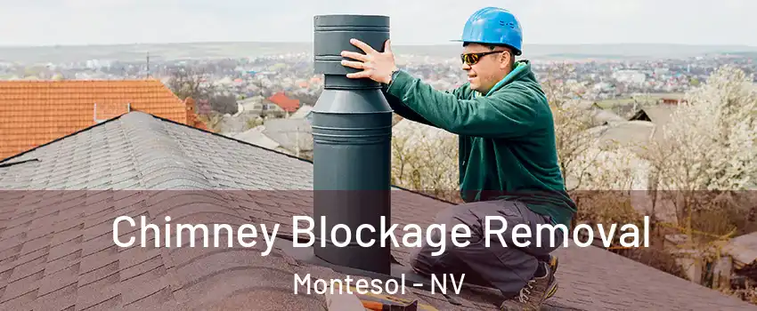 Chimney Blockage Removal Montesol - NV