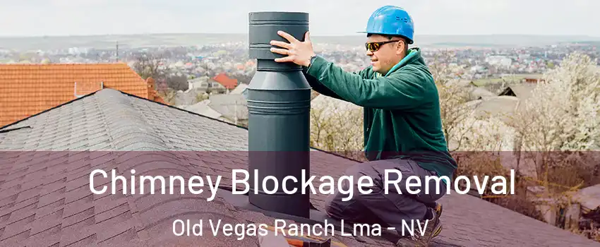 Chimney Blockage Removal Old Vegas Ranch Lma - NV