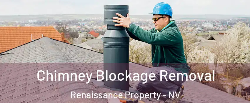 Chimney Blockage Removal Renaissance Property - NV