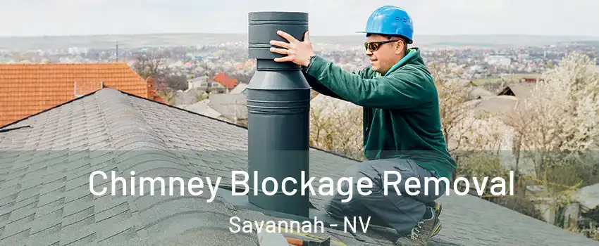 Chimney Blockage Removal Savannah - NV