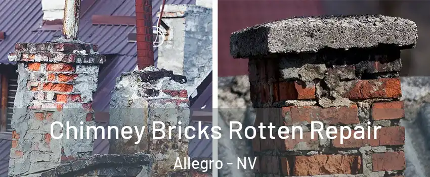 Chimney Bricks Rotten Repair Allegro - NV