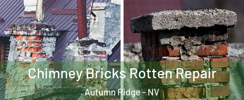 Chimney Bricks Rotten Repair Autumn Ridge - NV