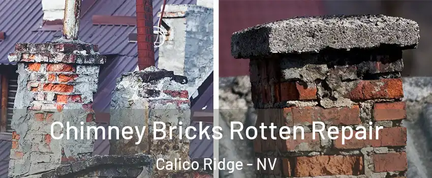 Chimney Bricks Rotten Repair Calico Ridge - NV