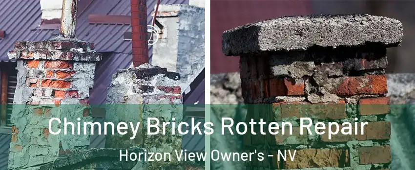 Chimney Bricks Rotten Repair Horizon View Owner's - NV