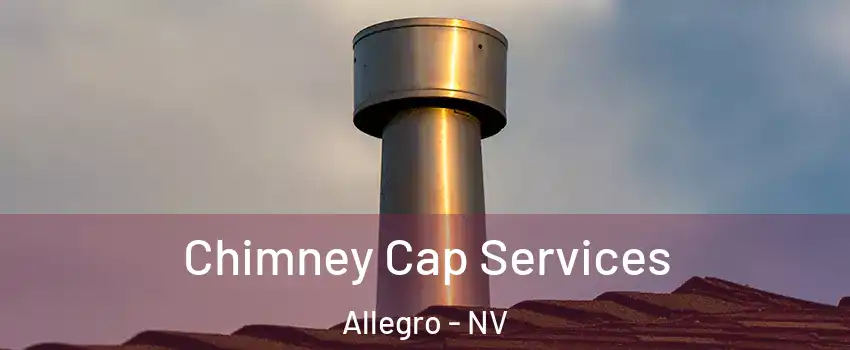 Chimney Cap Services Allegro - NV