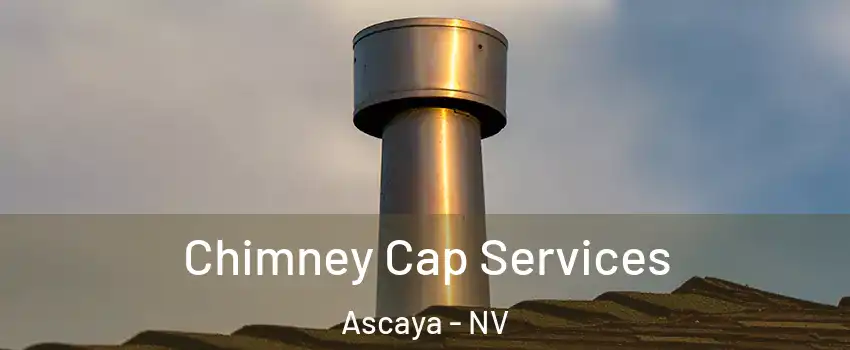 Chimney Cap Services Ascaya - NV