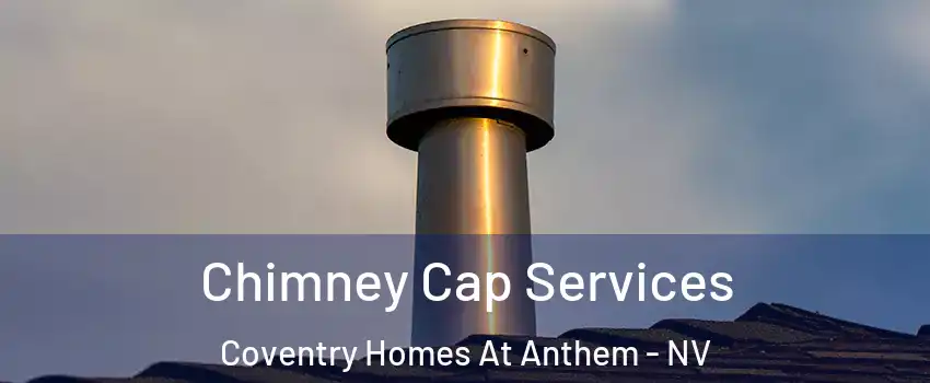 Chimney Cap Services Coventry Homes At Anthem - NV