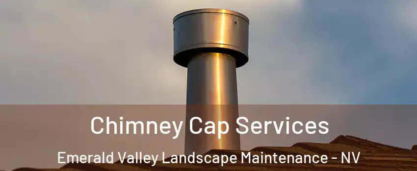 Chimney Cap Services Emerald Valley Landscape Maintenance - NV