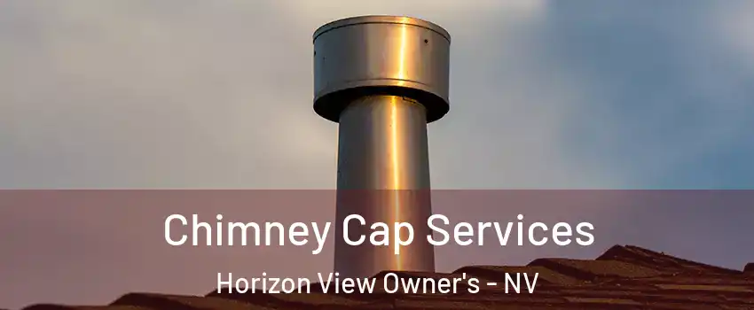 Chimney Cap Services Horizon View Owner's - NV