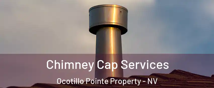 Chimney Cap Services Ocotillo Pointe Property - NV