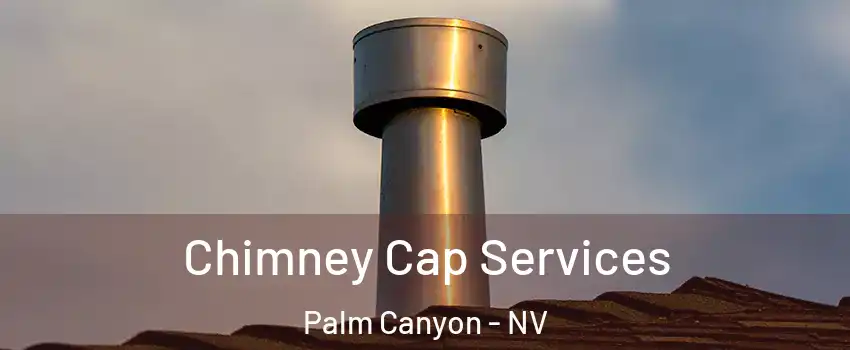 Chimney Cap Services Palm Canyon - NV