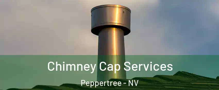 Chimney Cap Services Peppertree - NV