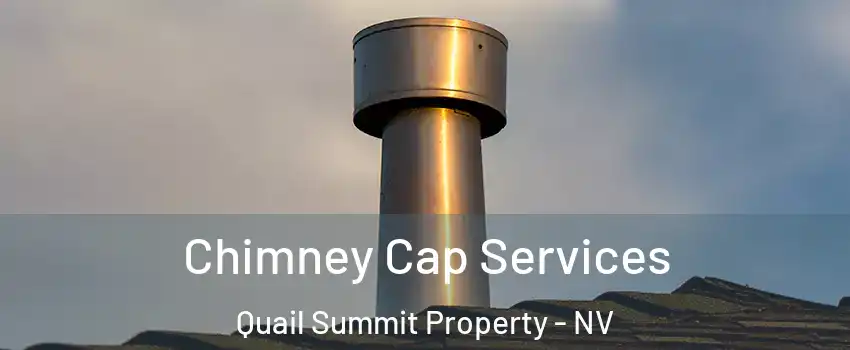 Chimney Cap Services Quail Summit Property - NV