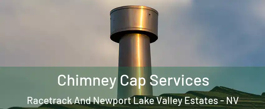 Chimney Cap Services Racetrack And Newport Lake Valley Estates - NV