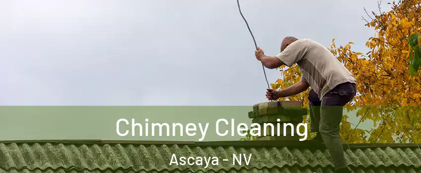 Chimney Cleaning Ascaya - NV