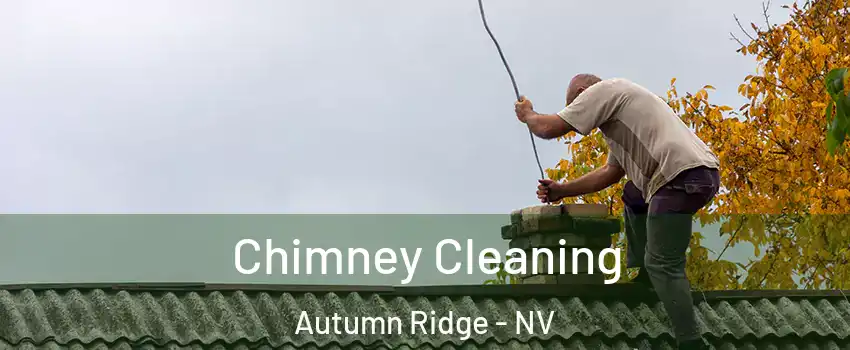 Chimney Cleaning Autumn Ridge - NV