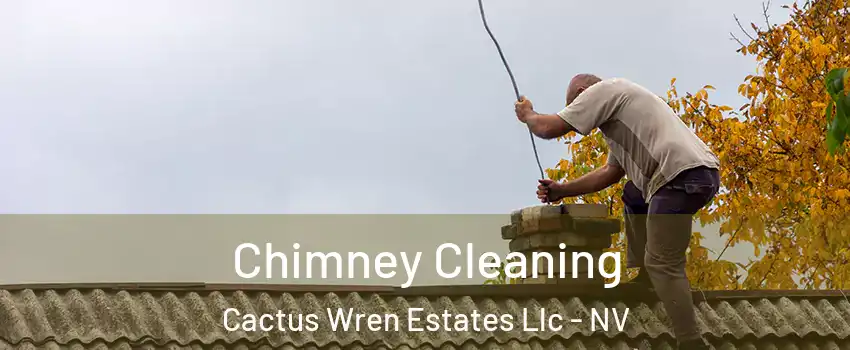 Chimney Cleaning Cactus Wren Estates Llc - NV