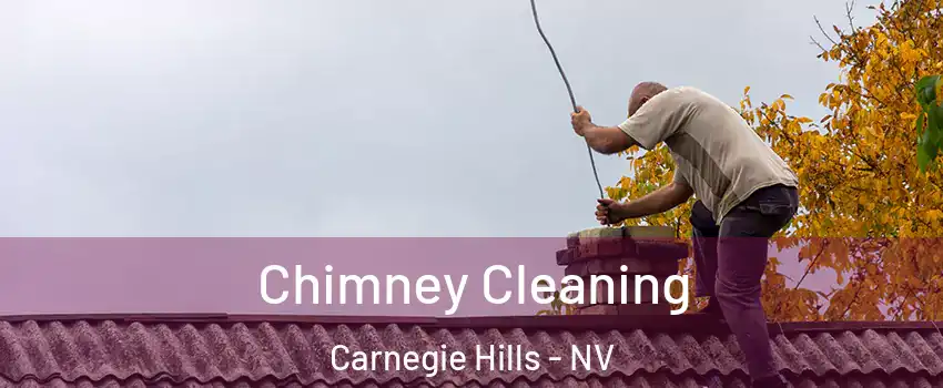 Chimney Cleaning Carnegie Hills - NV