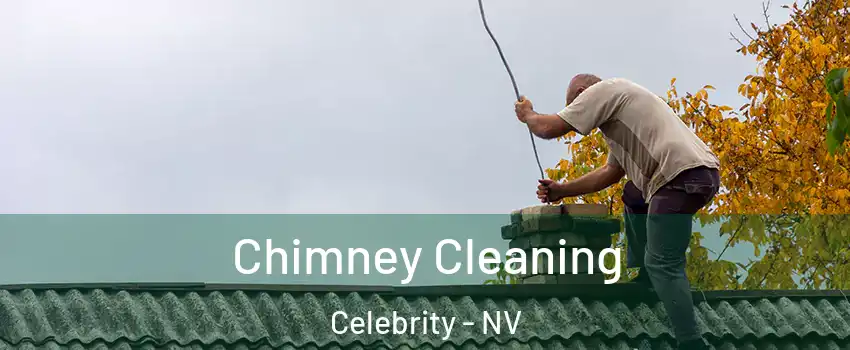 Chimney Cleaning Celebrity - NV