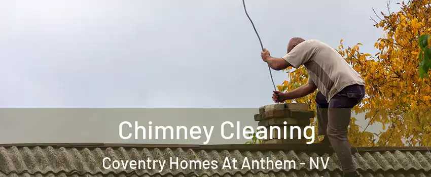 Chimney Cleaning Coventry Homes At Anthem - NV