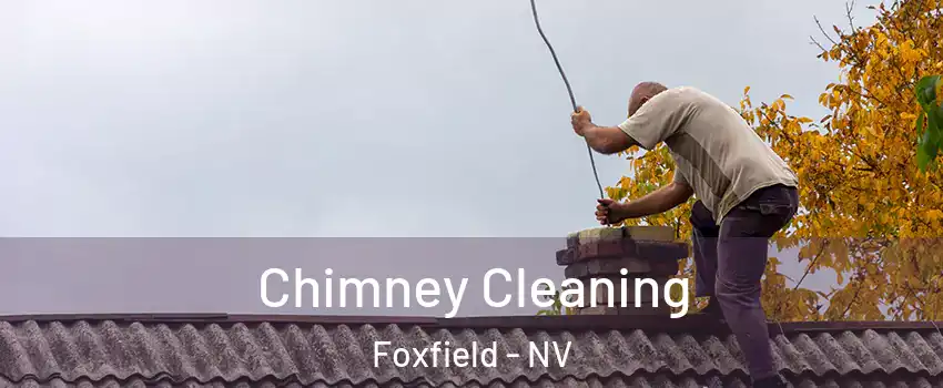 Chimney Cleaning Foxfield - NV