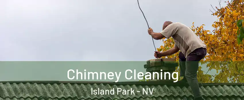 Chimney Cleaning Island Park - NV