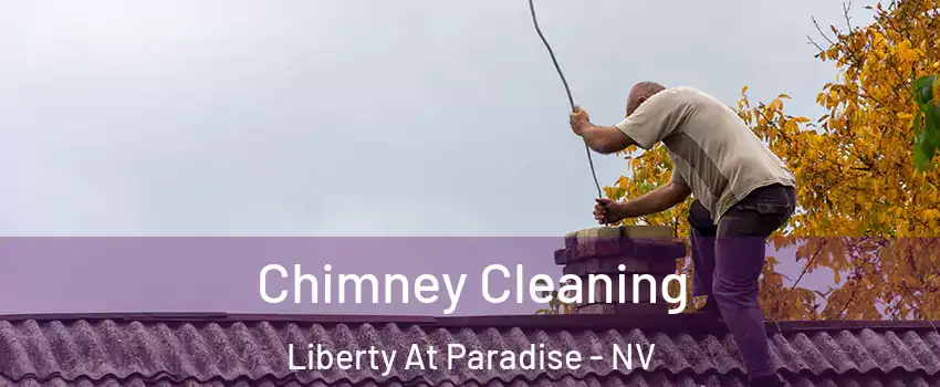 Chimney Cleaning Liberty At Paradise - NV