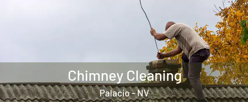 Chimney Cleaning Palacio - NV