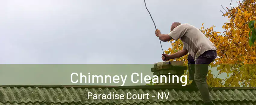 Chimney Cleaning Paradise Court - NV