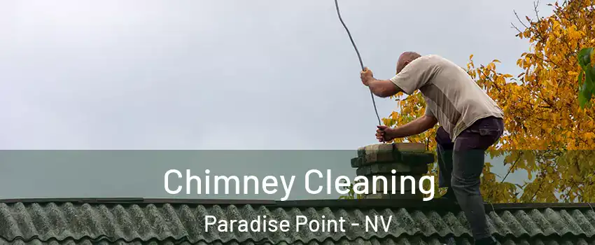 Chimney Cleaning Paradise Point - NV