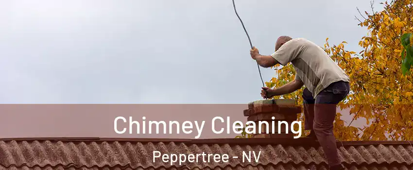 Chimney Cleaning Peppertree - NV