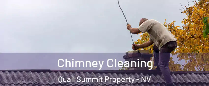 Chimney Cleaning Quail Summit Property - NV