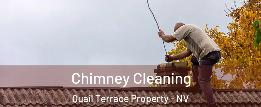 Chimney Cleaning Quail Terrace Property - NV