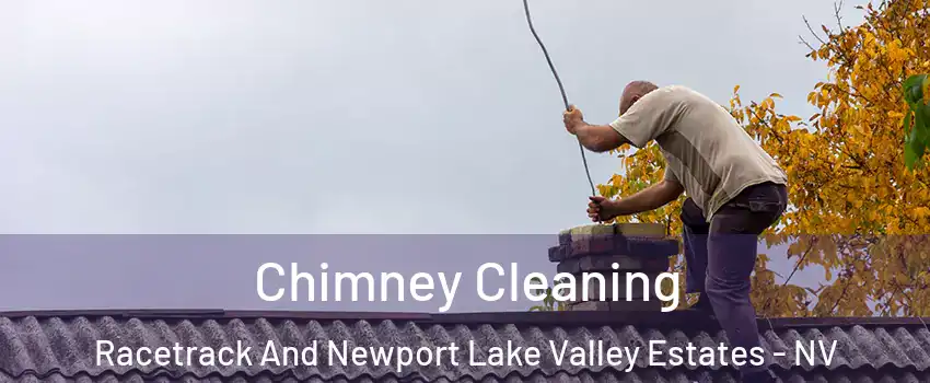 Chimney Cleaning Racetrack And Newport Lake Valley Estates - NV