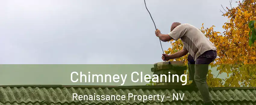 Chimney Cleaning Renaissance Property - NV