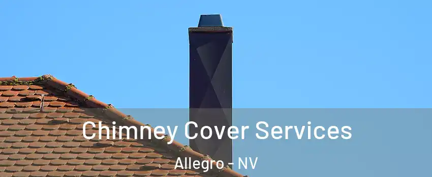 Chimney Cover Services Allegro - NV