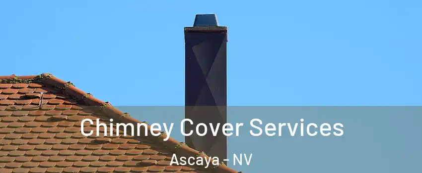 Chimney Cover Services Ascaya - NV