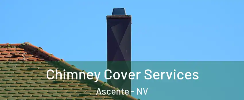 Chimney Cover Services Ascente - NV