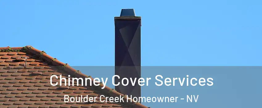 Chimney Cover Services Boulder Creek Homeowner - NV